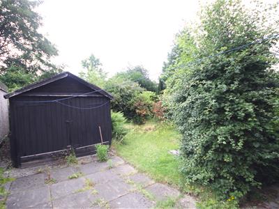 Picture 14